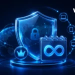 Best Lifetime VPN: Are One-Time VPN Plans Worth It?